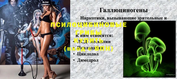 хмурый Абинск